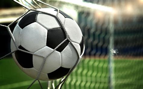Online crop | HD wallpaper: whit eand black soccer ball, feather, football, goal, net, sport ...
