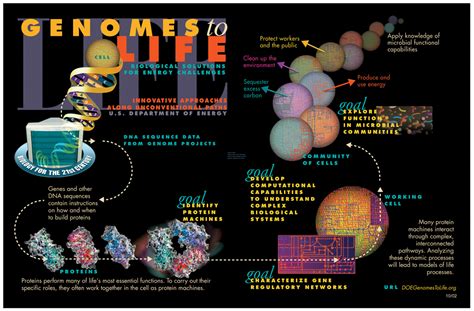 Systems biology - wikidoc