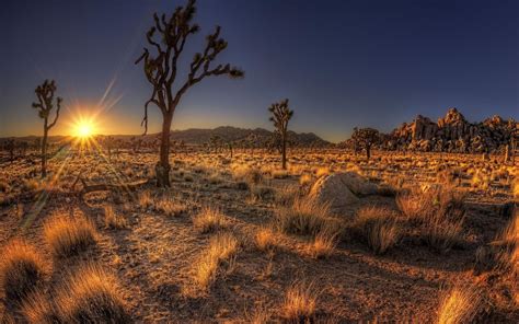 Arizona Desert Sunset Wallpapers - Top Free Arizona Desert Sunset ...