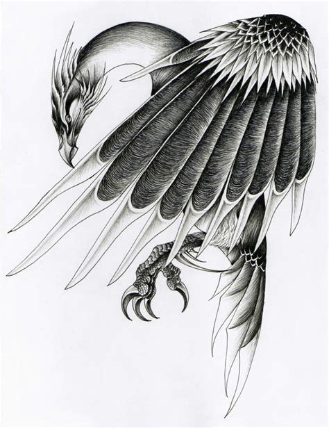 Stymphalian Bird by verreaux on DeviantArt