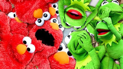 Kermit And Elmo Memes Wallpaper