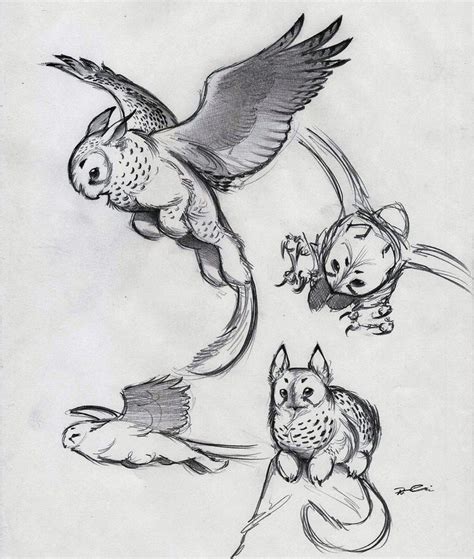 How does imgur feel about tiny gryphons? | Animal drawings, Mythical ...