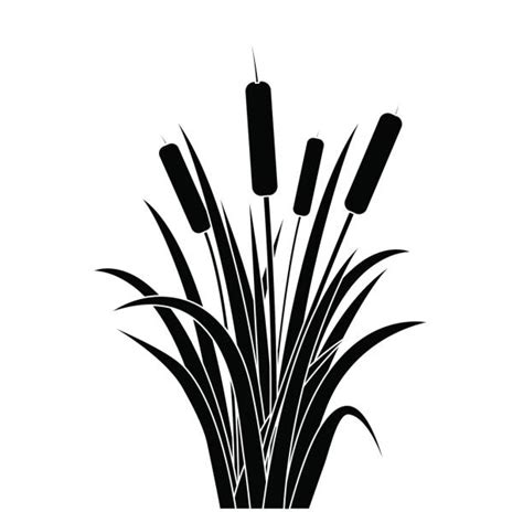 cattail silhouette clip art 20 free Cliparts | Download images on Clipground 2024