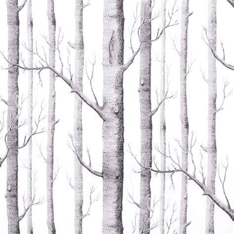 Wallpaper with Birch Trees - WallpaperSafari
