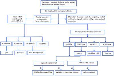 Frontiers | Clinical Characteristics of Patients With Benign Paroxysmal Positional Vertigo ...