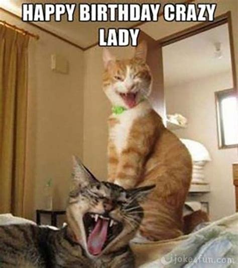 101 Funny Cat Birthday Memes for the Feline Lovers in Your Life | Happy ...