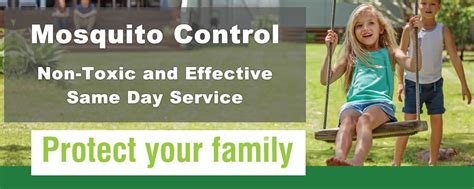 Mosquito Control Services - Effective & Non-Toxic, Same-Day Service for ...