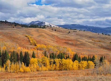 Reveling in Yellowstone's Fall Colors - A Yellowstone Life