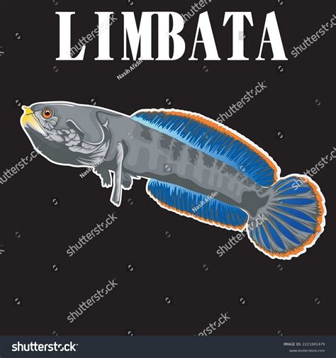 Channa Limbata Exotic Snakehead Fish Beautiful Stock Vector (Royalty Free) 2221841479 | Shutterstock