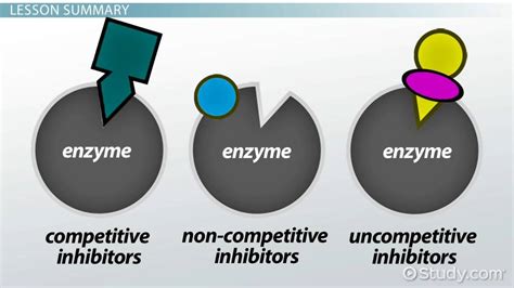 Enzyme Inhibitor Examples