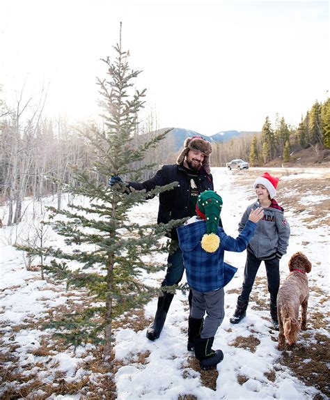 A Canadian Christmas Tree Tradition - Say Yes