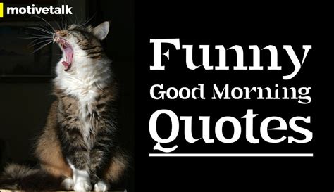 21 Funny Good Morning Quotes - That Will Make You Laugh