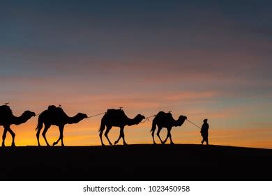 Silhouette Caravan Desert Sahara Morocco Beautiful Stock Photo ...