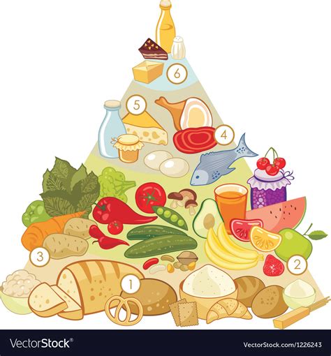 Omnivore Food Pyramid Stock Vector Yurumi | The Best Porn Website