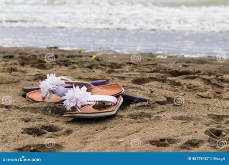 Barefoot Beach stock image. Image of shore, algae, girlfriend - 45179487