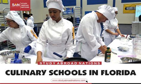 7 Top Culinary Schools In Florida | Fees & Details 2023