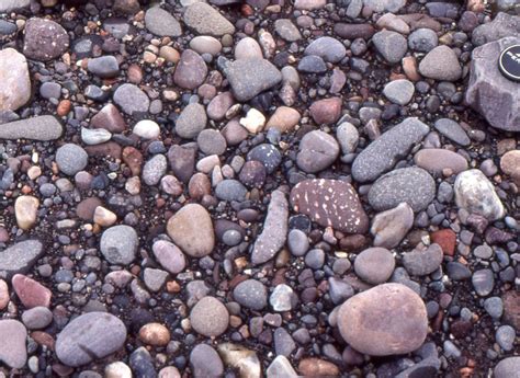 Sedimentary Rock Examples