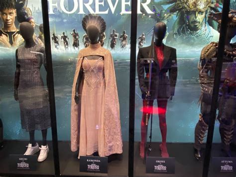 'Black Panther: Wakanda Forever' Costume Display Comes to Disney ...