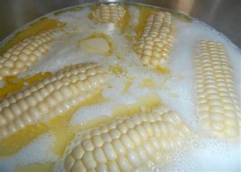 Boiled Corn – Best Cooking recipes In the world