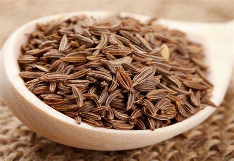 Cumin Seeds – Green Valley