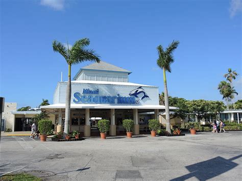 Dolphin Charges Trainer at Miami Seaquarium | Dolphin Project