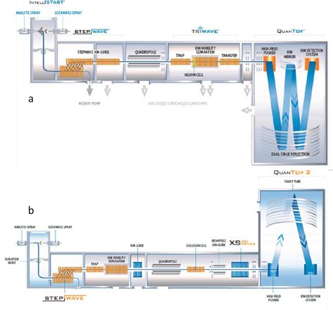 Figure 5 from Applications of ion mobility mass spectrometry for high ...