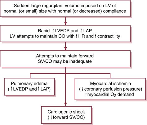 Aortic Regurgitation Murmur Pathophysiology Treatment - vrogue.co