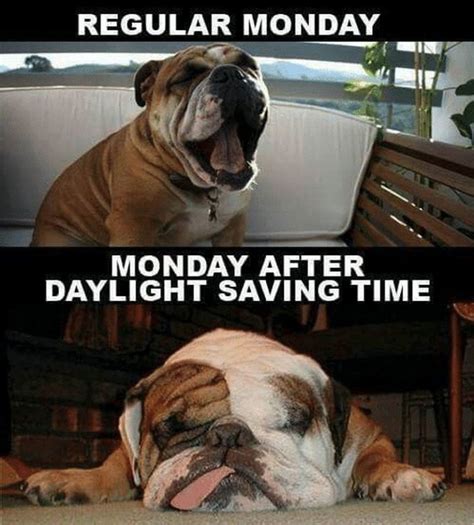 30 Funny Daylight Savings Memes To Spring Forward and Fall Back