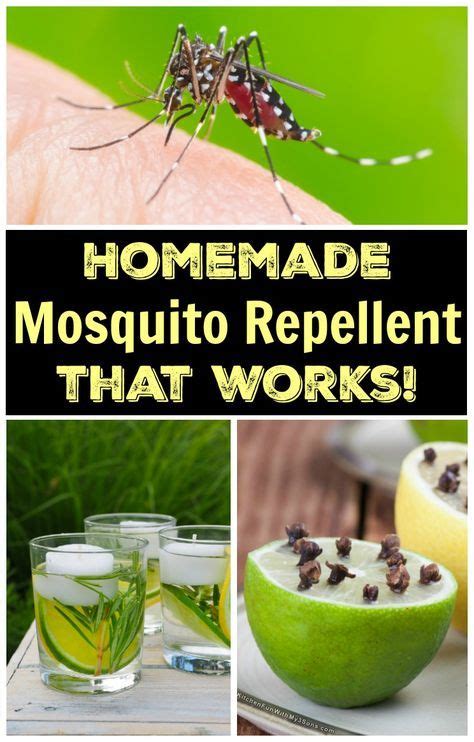 How To Make Natural Homemade Mosquito Repellent with only 5-ingredients | Mosquito repellent ...