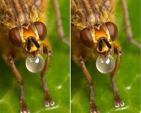 3-D crosseye stereogram of bubble blowing | 3-D Cross-eye st… | Flickr ...