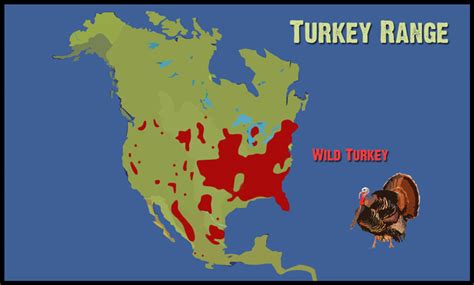 Wild Turkey Species Range Map - Bank2home.com