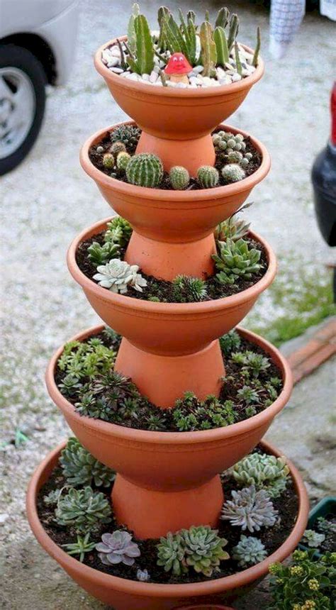 Selecting A Pots Or Planter For Succulents | Idées de jardinage, Idées jardin, Decoration jardin