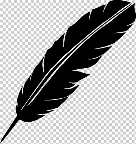 Download High Quality feather clipart black Transparent PNG Images ...