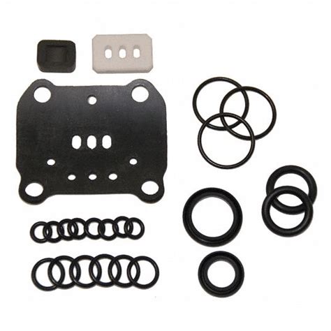 VERSA-MATIC Pump Repair Kit, Includes Diverter, Gaskets, O-rings, U-cup ...