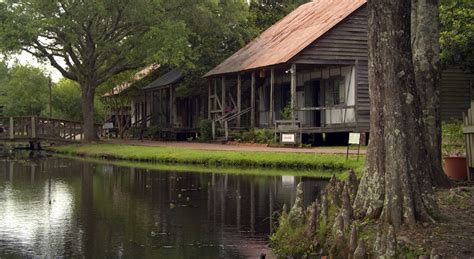 Louisiana Swamp, Louisiana Homes, Bald Cypress, Cypress Trees, New Orleans Bayou, Mississippi ...