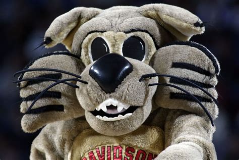 Davidson Wildcats mascot, Mr. Cat. | Mascot, Mens basketball, Basketball tournament