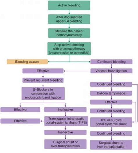 Treatment Of Cirrhosis Portal Hypertension And Complications ...