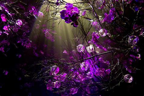 🔥 [75+] Purple Backgrounds Wallpapers | WallpaperSafari