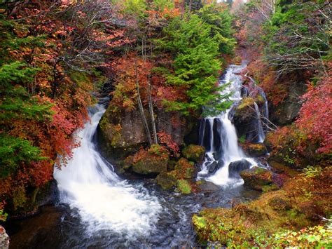 The Ultimate Guide to Autumn Foliage In and Around Tokyo | Tokyo Weekender