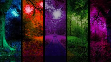 Color Forest Wallpapers - Top Free Color Forest Backgrounds ...