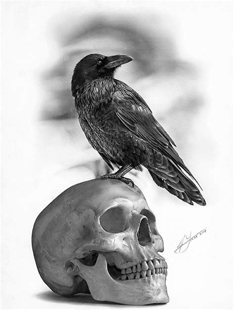 The Raven and The Skull - Pencil Drawing by Julio Lucas :: Behance