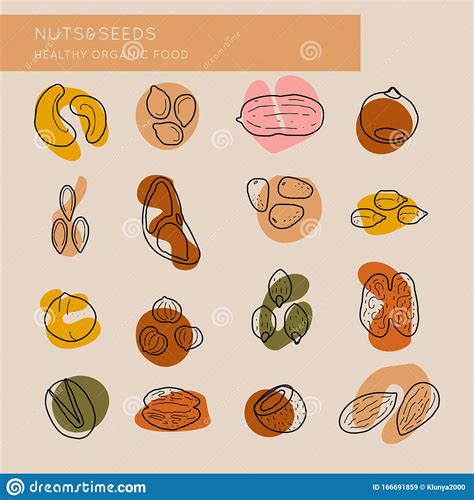 Nuts and Seeds line design stock illustration. Illustration of bundle ...