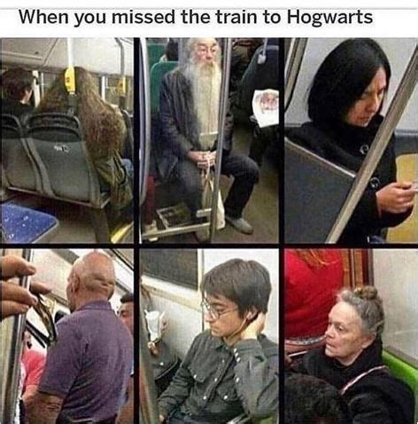 17 Riddikulous Harry Potter Memes That'll Right Your Rons | Harry ...