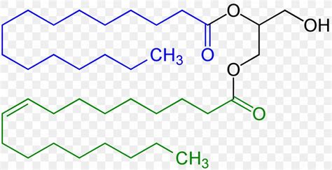 Mono- And Diglycerides Of Fatty Acids Monoglyceride Emulsifier, PNG, 1851x952px, Diglyceride ...