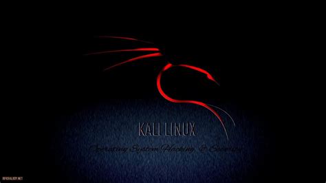 Kali Linux 4k Wallpapers - Top Free Kali Linux 4k Backgrounds ...