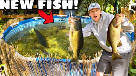 Catching Big PREDATOR FISH For My BACKYARD POND!! - YouTube