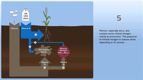 Nitrate leaching, soil aspects - YouTube