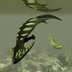 Diplocaulus Prehistoric Amphibian by Walter Myers | Prehistoric animals, Amphibians, Animals ...