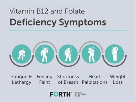 What Is Folate and Vitamin B12 Deficiency Anaemia?