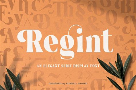 Regint Elegant Serif Display Font - Download Fonts